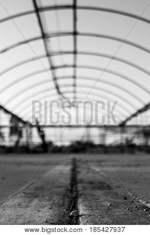 Old blurred abandoned greenhouse with focus on a small stone in the foreground. Black and white portrait orientation