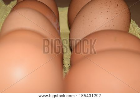 Domestic eggs from domestic chickens. food, protein