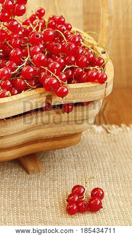 clusters of fresh ripe berries of red currant on the wooden vase