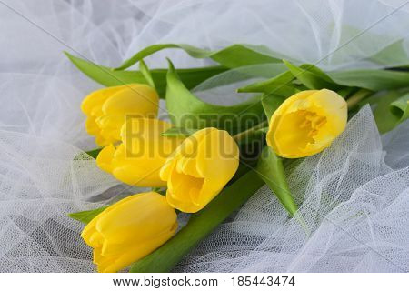 Yellow tulips on a white airy cloth texture