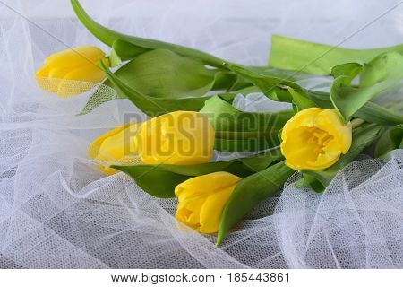 Yellow tulips on a white airy cloth texture