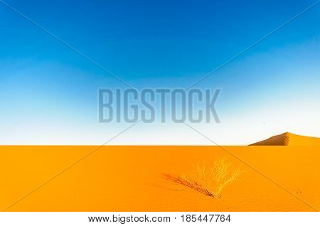 View of dunes in the dessert of Morocco by M'hamid