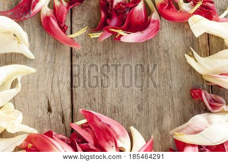 Sesbania flower Put on wooden floor for use concept on empty space.