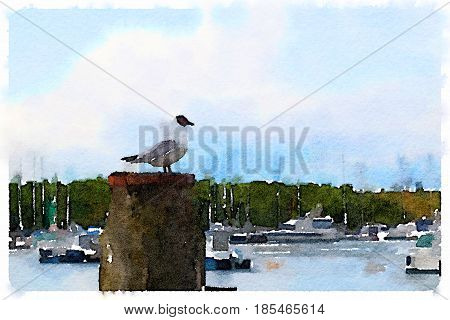 Digital watercolor painting of a seabird standing on a wooden post with a marina with boats in the background and trees and blue sky with clouds. With space for text.
