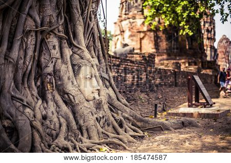 Buddha Head In A Tree At Ayutthaya
