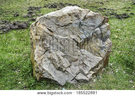 Big limestone in Polish jurrasic park on a grass.
