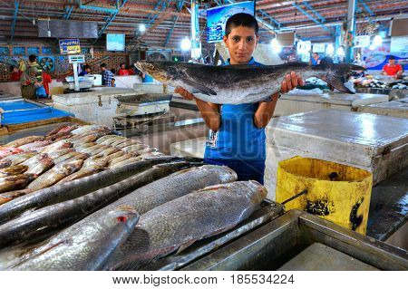 Bandar Abbas Hormozgan Province Iran - 15 april 2017: The boy salesman shows fresh fish at the indoor fish market.