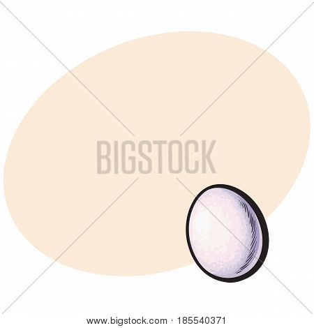 Single whole hard boiled, peeled, unshelled chicken egg, sketch style vector illustration with space for text Hand drawn, sketched single peeled boiled chicken egg