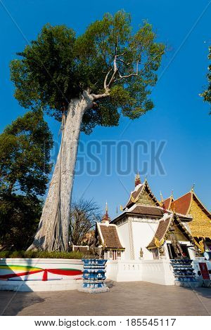 Wat Chedi Luang Buddhist Temple