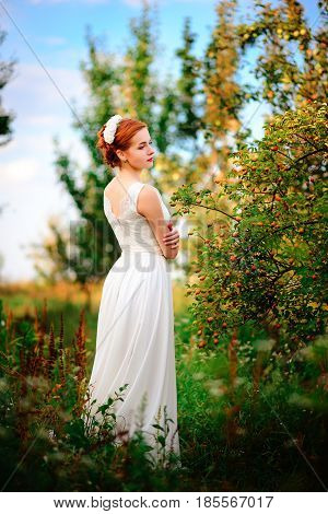 Young Beautiful Blonde Woman In Blooming Garden. Bride.