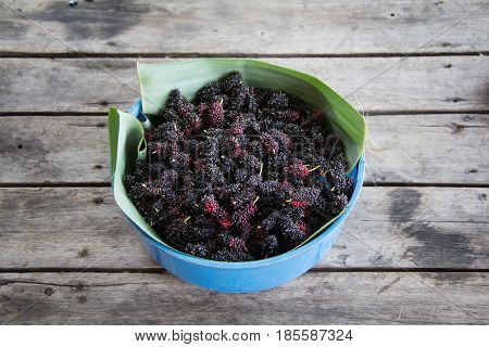 Mulberry on wooden table. fresh organic mulberry fruit. black ripe and red unripe mulberries on the branch.
