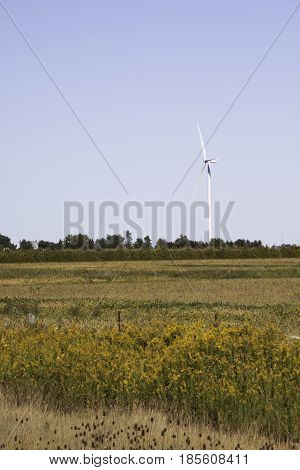Vertical landscape of a wind turbine in a farmer's field near Windsor, Ontario with the moon visible on a sunny late afternoon in September.