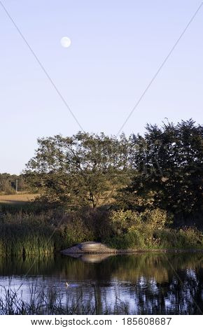 Vertical landscape scene of a small river shoreline with trees foliage and reflections in the water near Windsor, Ontario with the moon visible on a sunny late afternoon in September.