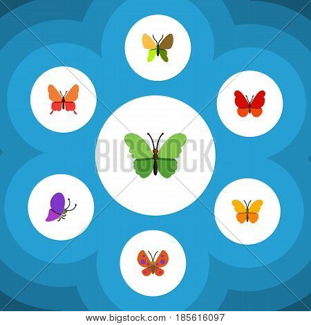 Flat Moth Set Of Summer Insect, Butterfly, Danaus Plexippus And Other Vector Objects. Also Includes Milkweed, Butterfly, Moth Elements.