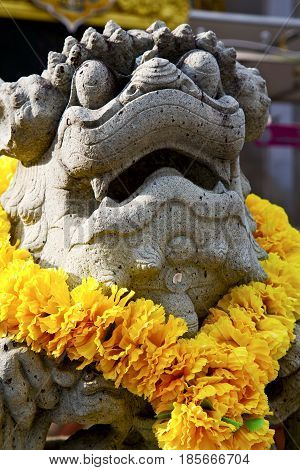 Demon   The Temple Bangkok Asia  Flower