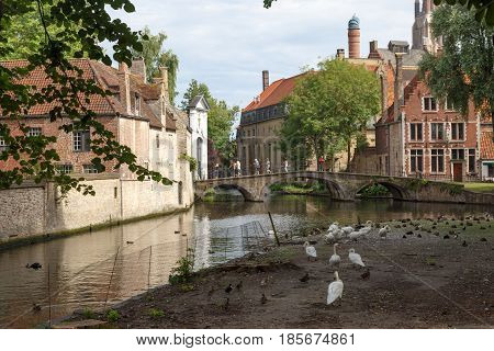 Lake And Bridge In Brugge