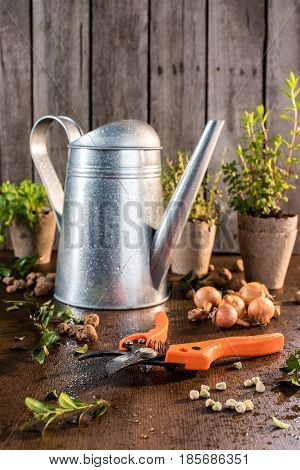 Garden Pruner On Wooden Table