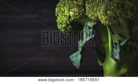 Healthy Bunch Of Broccoli
