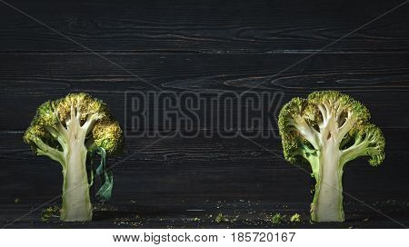 Healthy Bunch Of Broccoli