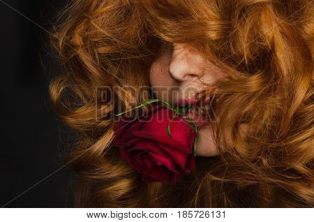 young woman with red hair is holding red rose in her mouth