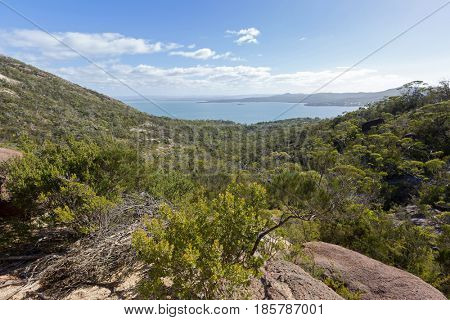 Rocky path and vegetation along path track up to Wineglass Bay lookout, View of Coles Bay, Tasmania's famous east coast in Freycinet National Park, Tasmania island, Australia