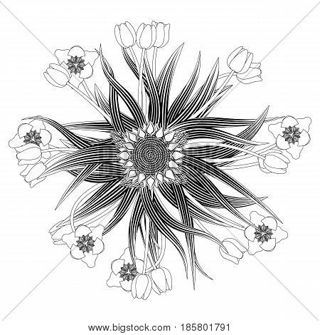 Mandala Pattern from sunflowers and tulips Coloring for adults