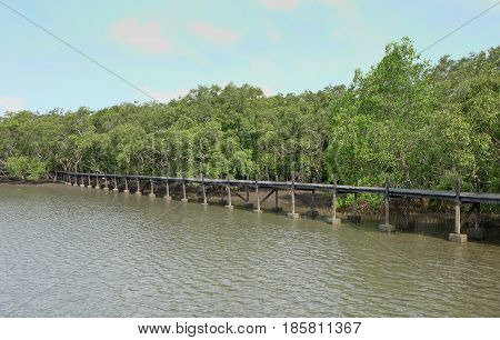 Wooden bridge at Golden Mangrove FieldPra Sae Rayong Thailand.