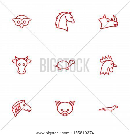 Set Of 9 Beast Outline Icons Set.Collection Of Owl, Lizard, Horse And Other Elements.