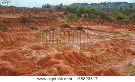 View of Desierto de la Tatacoa (Tatacoa Desert) in Villavieja, Huila / Colombia