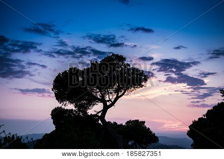 Barcelona Spain Sunset Landscape from Mountain Tibidado