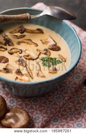 Creamy Mushroom Soup In Bowl On Stone Background. Homemade Mushrooms Pottage Puree.