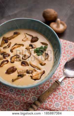 Creamy Mushroom Soup In Bowl On Stone Background. Homemade Mushrooms Pottage Puree.