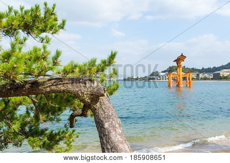 Itsukushima Shrine in Japan