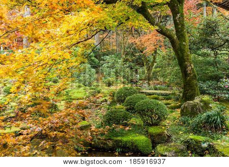 Japanese garden with autuman season