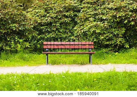 Empty dark red wooden bench in the park. A place to sit in nature. Natural bench beside the park.