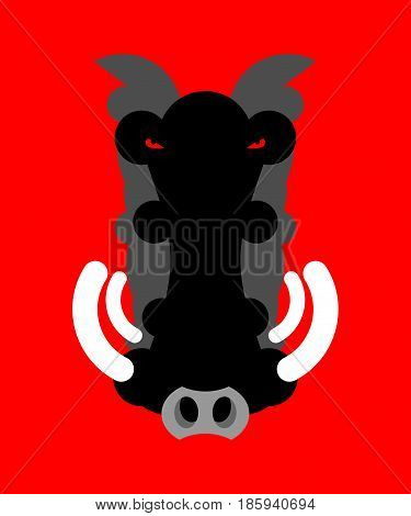 Angry boar warthog snout isolated. Head of wild aper