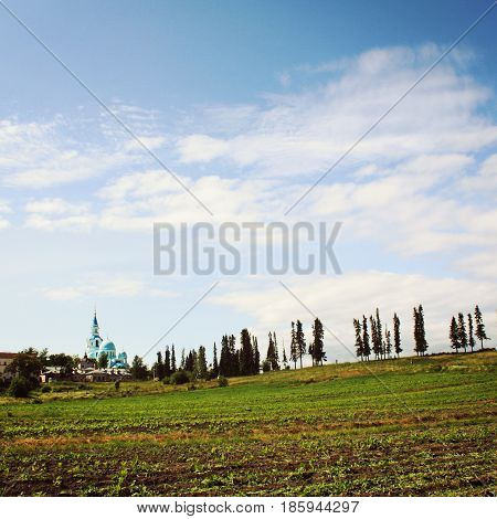 Monastery fields near Spaso-Preobrazhensky Cathedral. Toned photo. Vegetable gardens. Sunny summer day. Valaam Monastery Republic of Karelya Russia.