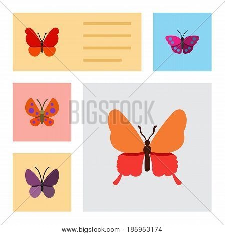 Flat Monarch Set Of Violet Wing, Moth, Danaus Plexippus And Other Vector Objects. Also Includes Monarch, Summer, Insect Elements.