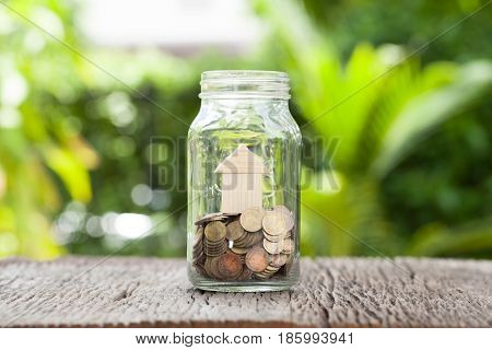 Money and house in gless Saving money concept concept of financial savings to buy a housetrees growing in a sequence of germination on piles of coins Growth business money.