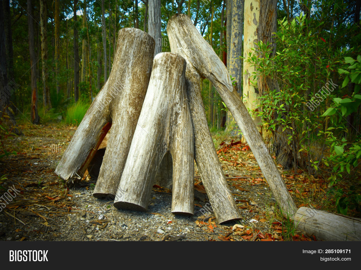 Three Logs Stacked Image & Photo (Free Trial) Bigstock