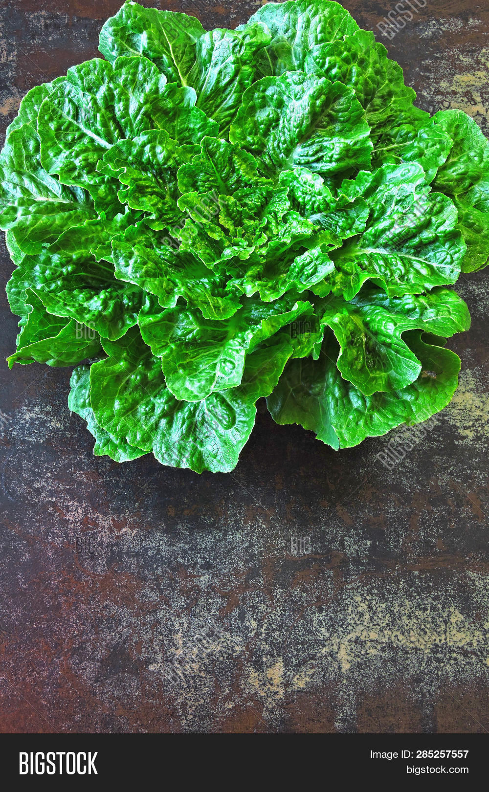 Fresh Green Romaine Image & Photo (Free Trial) Bigstock
