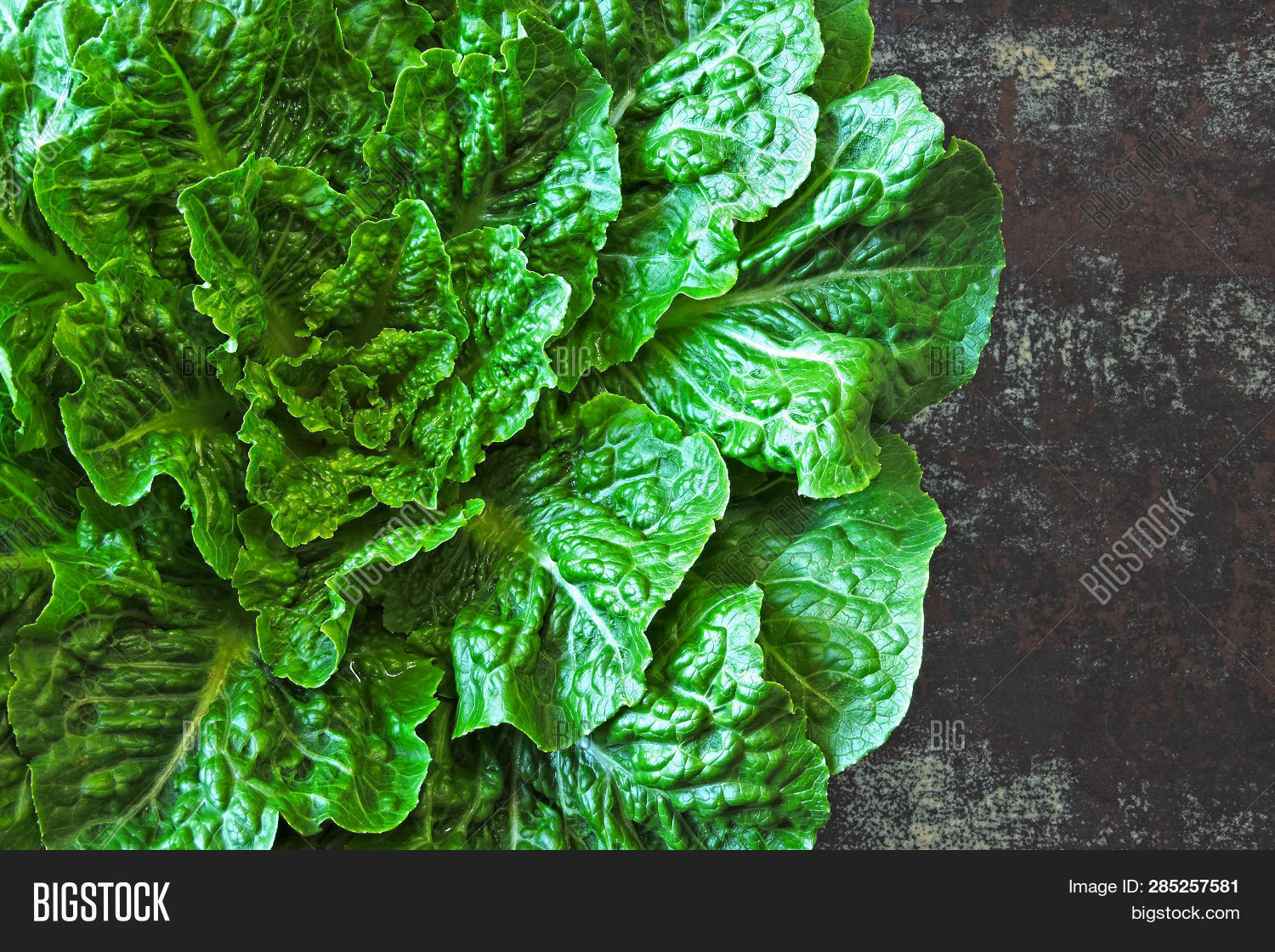 Fresh Green Romaine Image & Photo (Free Trial) Bigstock