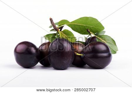 Plum Close-up. Sweet Plum. Fresh Plum. Berry