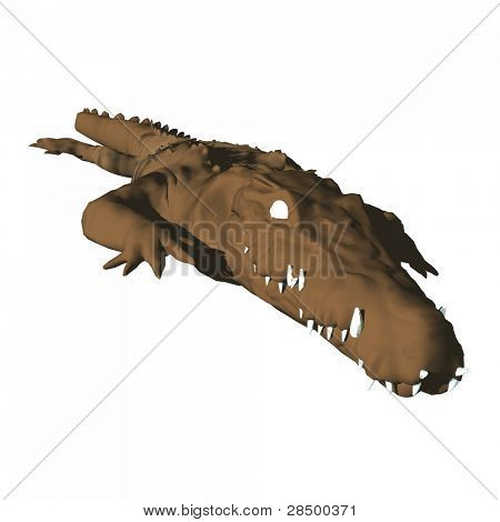 Crocodile