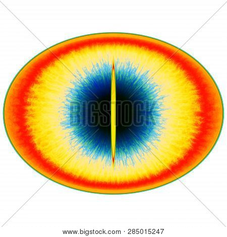 Rentgen Photo. Isolated Elliptic Animal Eye