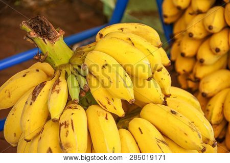 Tropical Yellow Banana In The Fresh Market
