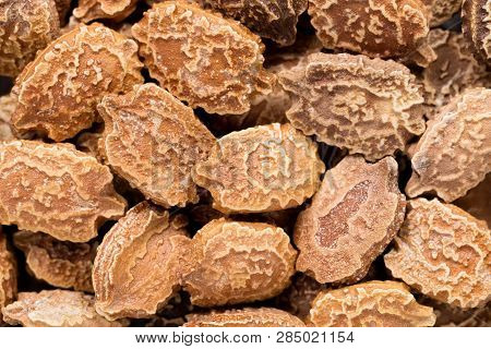 High Quality Seeds Of Momordica, Pumpkin In A Texture Form For Your Personal Garden. Can Be Used By 