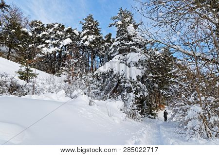 Winter Landscape On The Plateau Of Vercors In French Alps