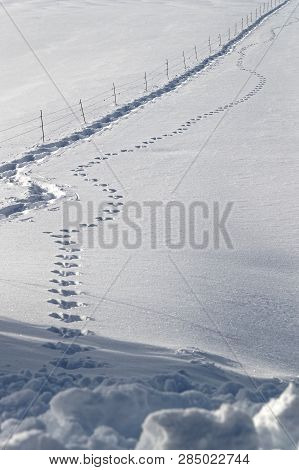 Winter Landscape On The Plateau Of Vercors In French Alps