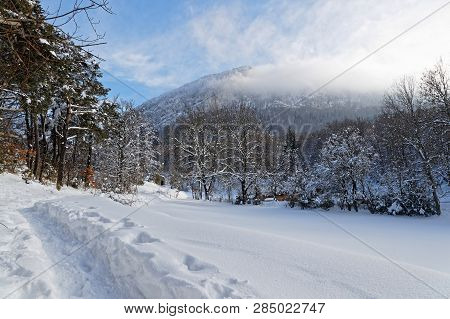 Winter Landscape On The Plateau Of Vercors In French Alps